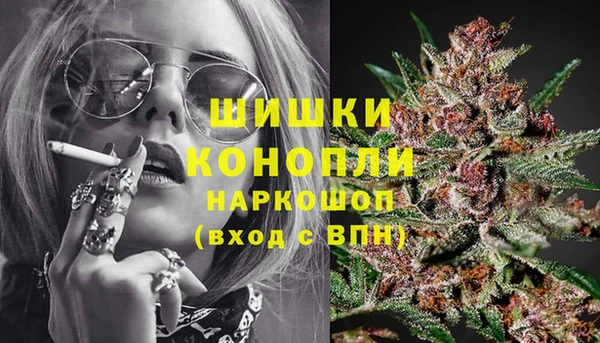 дживик Кулебаки
