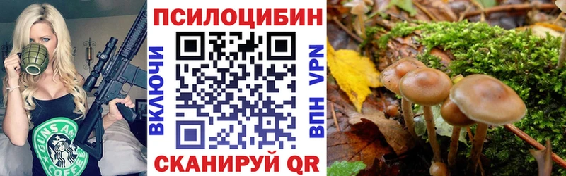 Купить  Дальнегорск  Псилоцибиновые грибы ЛСД 