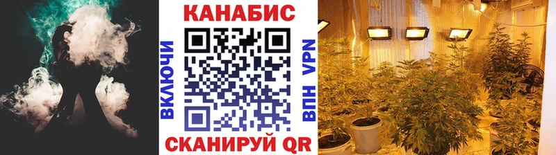 Шишки марихуана SATIVA & INDICA  Купить где  Дальнегорск 